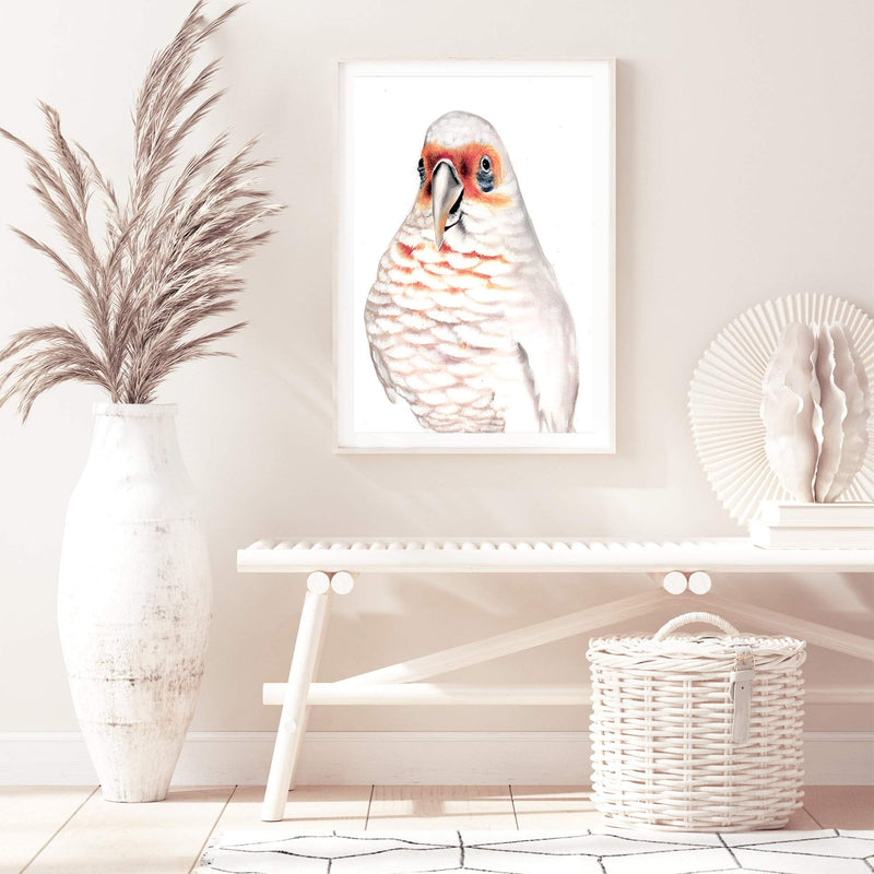 Connie The Corella-The Paper Tree-animal,australian,australian native,bird,boho,cockatoo,corella,feathers,galah,neutral,orange,painted,painted print,parrot,portrait,premium art print,wall art,Wall_Art,Wall_Art_Prints,white