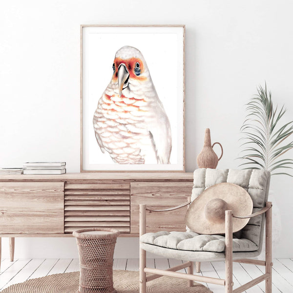 Connie The Corella-The Paper Tree-animal,australian,australian native,bird,boho,cockatoo,corella,feathers,galah,neutral,orange,painted,painted print,parrot,portrait,premium art print,wall art,Wall_Art,Wall_Art_Prints,white