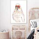 Connie The Corella-The Paper Tree-animal,australian,australian native,bird,boho,cockatoo,corella,feathers,galah,neutral,orange,painted,painted print,parrot,portrait,premium art print,wall art,Wall_Art,Wall_Art_Prints,white