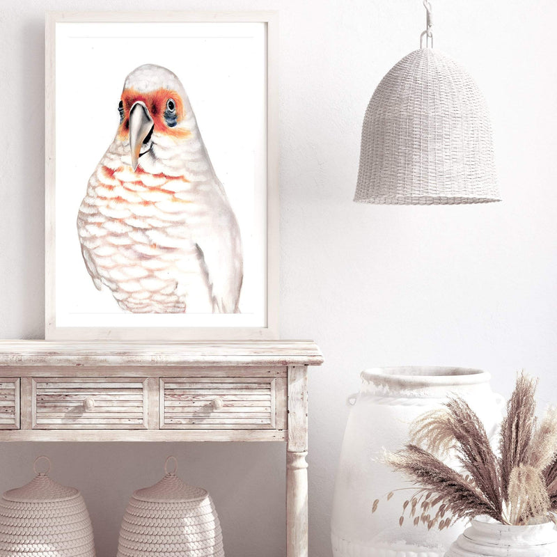 Connie The Corella-The Paper Tree-animal,australian,australian native,bird,boho,cockatoo,corella,feathers,galah,neutral,orange,painted,painted print,parrot,portrait,premium art print,wall art,Wall_Art,Wall_Art_Prints,white