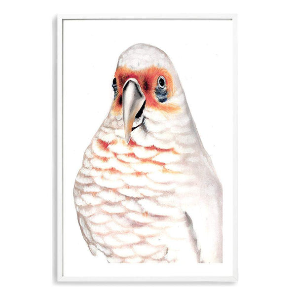 Connie The Corella-The Paper Tree-animal,australian,australian native,bird,boho,cockatoo,corella,feathers,galah,neutral,orange,painted,painted print,parrot,portrait,premium art print,wall art,Wall_Art,Wall_Art_Prints,white