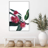 Eucalyptus Flower-The Paper Tree-australian native,floral,flower,flowers,gum leaves,gum tree,native flowers,pink flower,portrait,premium art print,protea,red,wall art,Wall_Art,Wall_Art_Prints,waratah,wild flowers