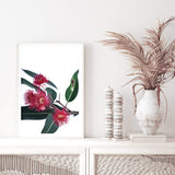 Eucalyptus Flower-The Paper Tree-australian native,floral,flower,flowers,gum leaves,gum tree,native flowers,pink flower,portrait,premium art print,protea,red,wall art,Wall_Art,Wall_Art_Prints,waratah,wild flowers