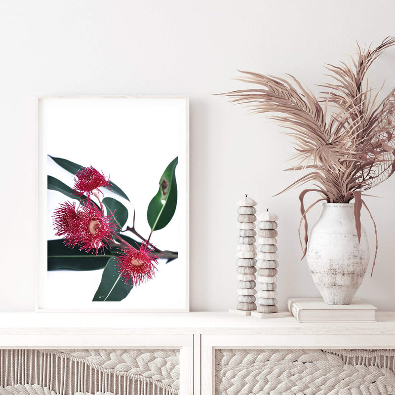 Eucalyptus Flower-The Paper Tree-australian native,floral,flower,flowers,gum leaves,gum tree,native flowers,pink flower,portrait,premium art print,protea,red,wall art,Wall_Art,Wall_Art_Prints,waratah,wild flowers