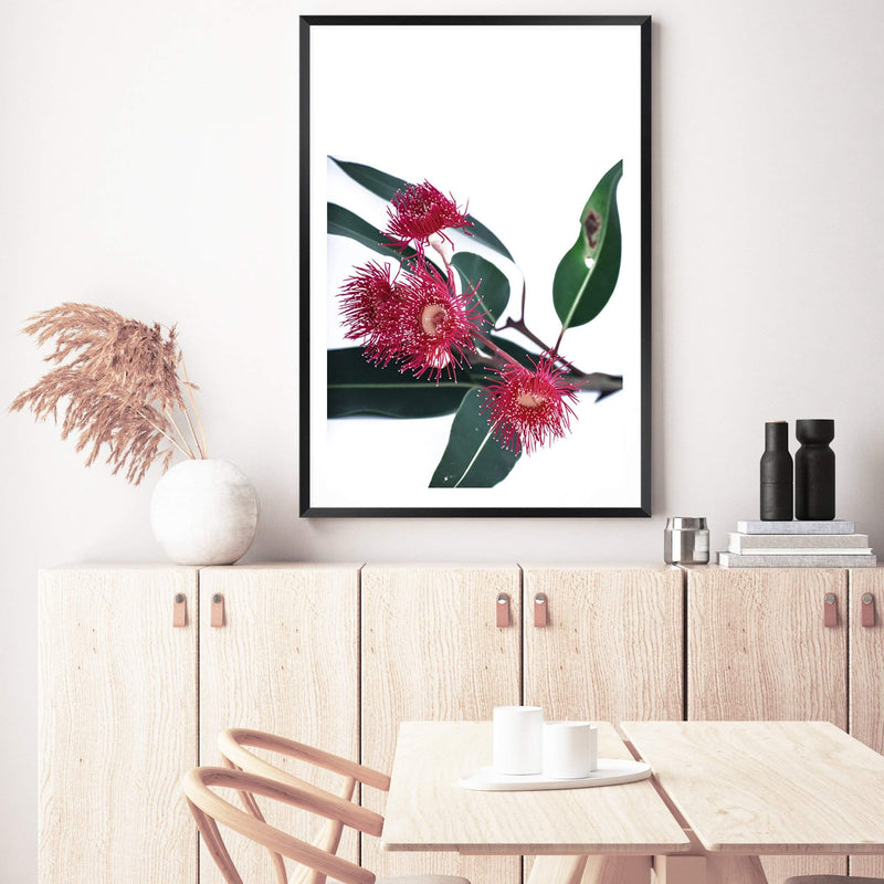 Eucalyptus Flower-The Paper Tree-australian native,floral,flower,flowers,gum leaves,gum tree,native flowers,pink flower,portrait,premium art print,protea,red,wall art,Wall_Art,Wall_Art_Prints,waratah,wild flowers