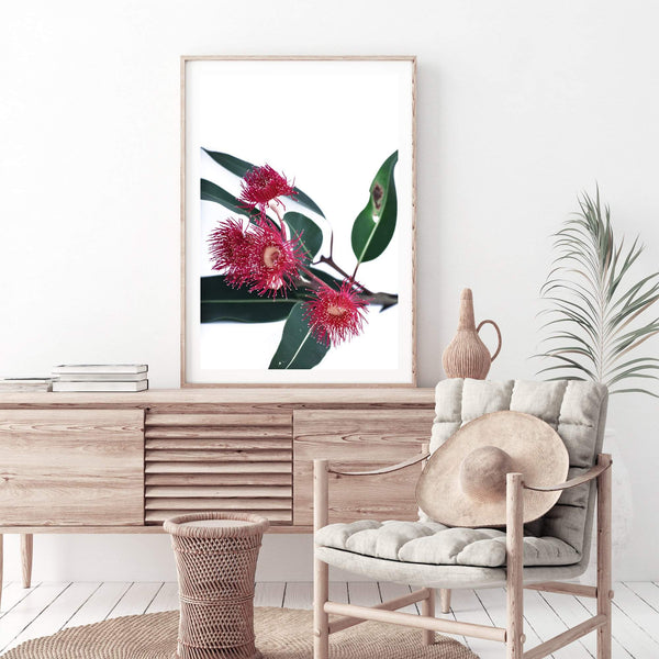 Eucalyptus Flower-The Paper Tree-australian native,floral,flower,flowers,gum leaves,gum tree,native flowers,pink flower,portrait,premium art print,protea,red,wall art,Wall_Art,Wall_Art_Prints,waratah,wild flowers