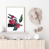 Eucalyptus Flower-The Paper Tree-australian native,floral,flower,flowers,gum leaves,gum tree,native flowers,pink flower,portrait,premium art print,protea,red,wall art,Wall_Art,Wall_Art_Prints,waratah,wild flowers