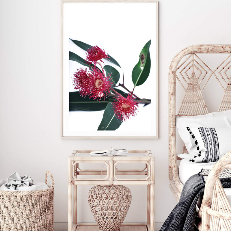 Eucalyptus Flower-The Paper Tree-australian native,floral,flower,flowers,gum leaves,gum tree,native flowers,pink flower,portrait,premium art print,protea,red,wall art,Wall_Art,Wall_Art_Prints,waratah,wild flowers