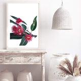 Eucalyptus Flower-The Paper Tree-australian native,floral,flower,flowers,gum leaves,gum tree,native flowers,pink flower,portrait,premium art print,protea,red,wall art,Wall_Art,Wall_Art_Prints,waratah,wild flowers