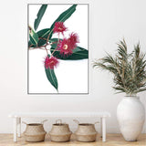 Eucalyptus Flower II-The Paper Tree-australian native,floral,flower,flowers,gum leaves,gum tree,native flowers,pink flower,portrait,premium art print,protea,red,wall art,Wall_Art,Wall_Art_Prints,waratah,wild flowers