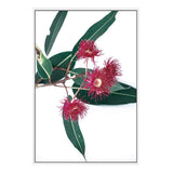 Eucalyptus Flower II-The Paper Tree-australian native,floral,flower,flowers,gum leaves,gum tree,native flowers,pink flower,portrait,premium art print,protea,red,wall art,Wall_Art,Wall_Art_Prints,waratah,wild flowers