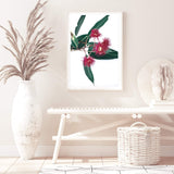 Eucalyptus Flower II-The Paper Tree-australian native,floral,flower,flowers,gum leaves,gum tree,native flowers,pink flower,portrait,premium art print,protea,red,wall art,Wall_Art,Wall_Art_Prints,waratah,wild flowers