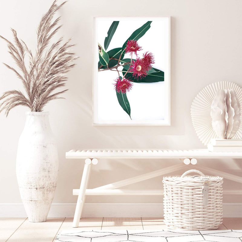 Eucalyptus Flower II-The Paper Tree-australian native,floral,flower,flowers,gum leaves,gum tree,native flowers,pink flower,portrait,premium art print,protea,red,wall art,Wall_Art,Wall_Art_Prints,waratah,wild flowers