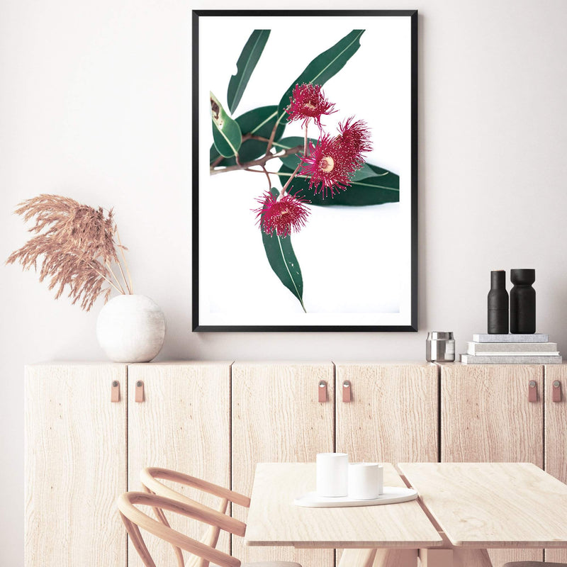 Eucalyptus Flower II-The Paper Tree-australian native,floral,flower,flowers,gum leaves,gum tree,native flowers,pink flower,portrait,premium art print,protea,red,wall art,Wall_Art,Wall_Art_Prints,waratah,wild flowers