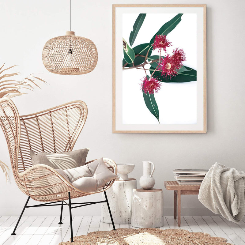 Eucalyptus Flower II-The Paper Tree-australian native,floral,flower,flowers,gum leaves,gum tree,native flowers,pink flower,portrait,premium art print,protea,red,wall art,Wall_Art,Wall_Art_Prints,waratah,wild flowers