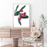 Eucalyptus Flower II-The Paper Tree-australian native,floral,flower,flowers,gum leaves,gum tree,native flowers,pink flower,portrait,premium art print,protea,red,wall art,Wall_Art,Wall_Art_Prints,waratah,wild flowers