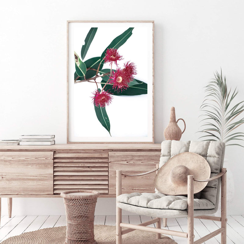 Eucalyptus Flower II-The Paper Tree-australian native,floral,flower,flowers,gum leaves,gum tree,native flowers,pink flower,portrait,premium art print,protea,red,wall art,Wall_Art,Wall_Art_Prints,waratah,wild flowers