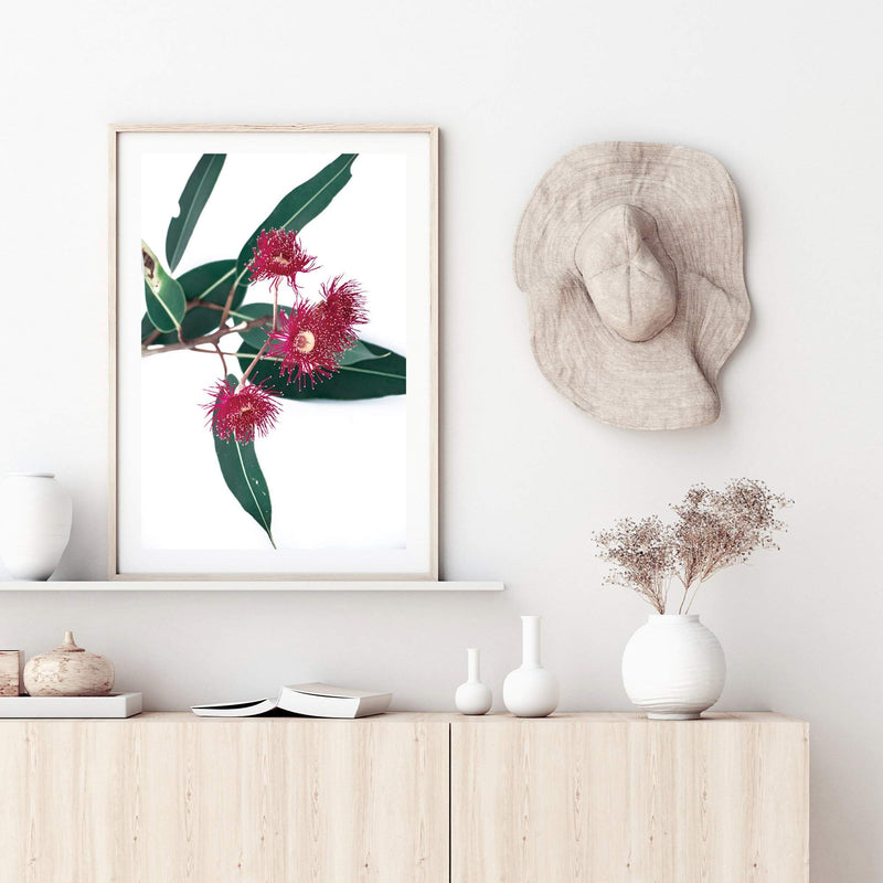 Eucalyptus Flower II-The Paper Tree-australian native,floral,flower,flowers,gum leaves,gum tree,native flowers,pink flower,portrait,premium art print,protea,red,wall art,Wall_Art,Wall_Art_Prints,waratah,wild flowers