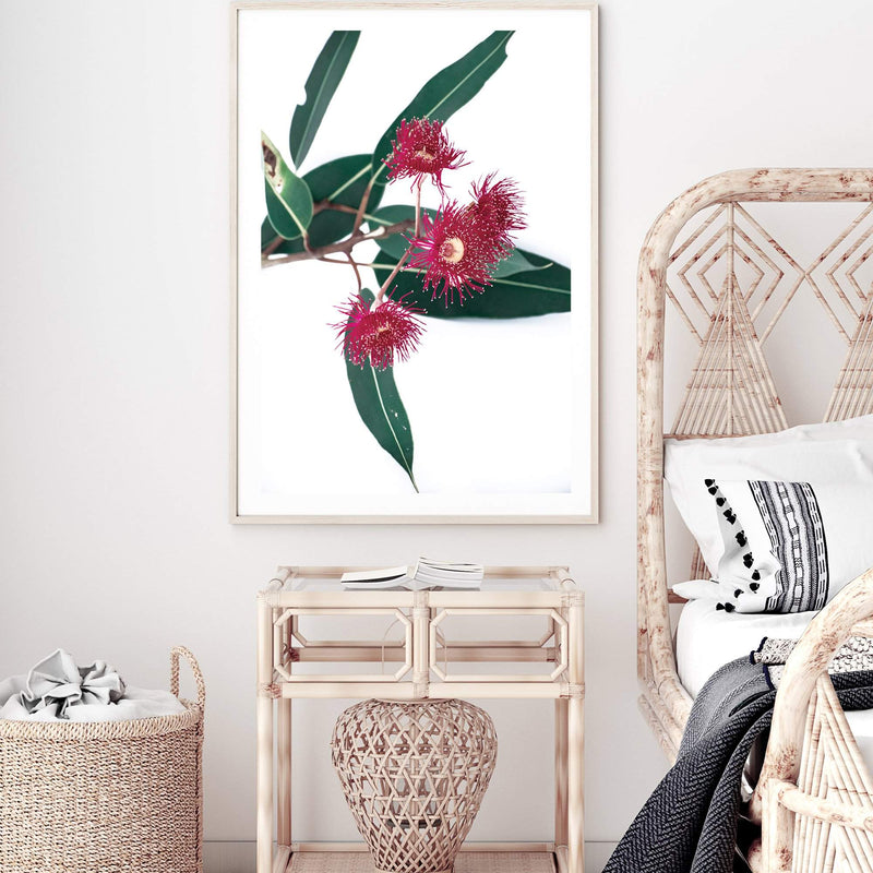 Eucalyptus Flower II-The Paper Tree-australian native,floral,flower,flowers,gum leaves,gum tree,native flowers,pink flower,portrait,premium art print,protea,red,wall art,Wall_Art,Wall_Art_Prints,waratah,wild flowers