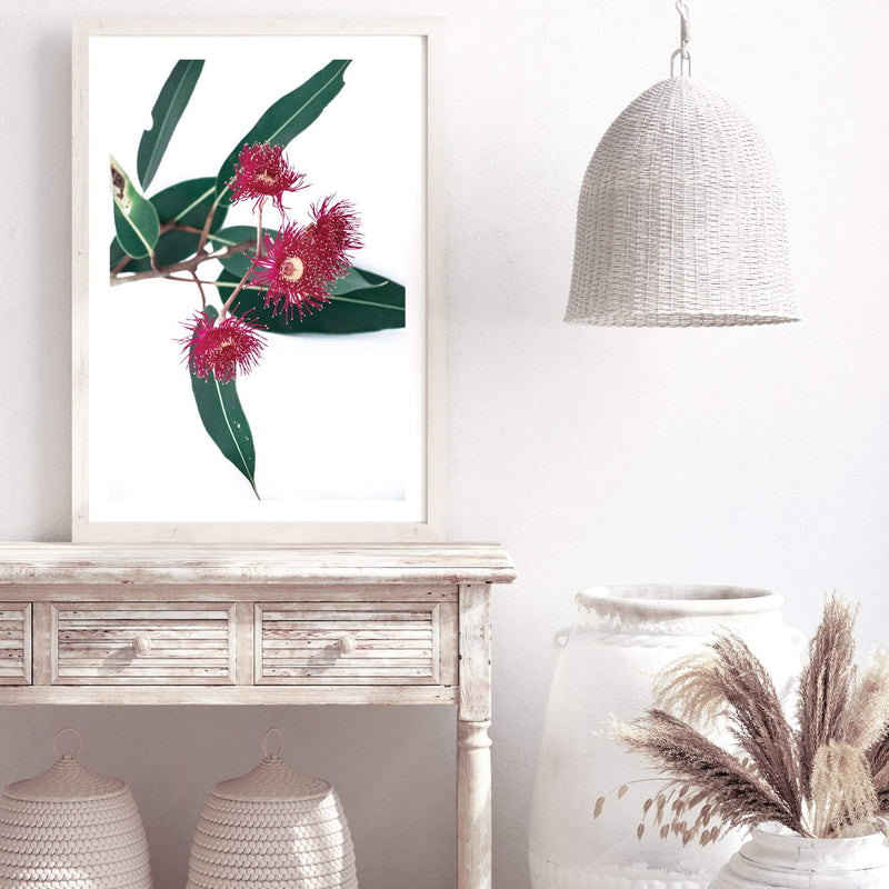 Eucalyptus Flower II-The Paper Tree-australian native,floral,flower,flowers,gum leaves,gum tree,native flowers,pink flower,portrait,premium art print,protea,red,wall art,Wall_Art,Wall_Art_Prints,waratah,wild flowers