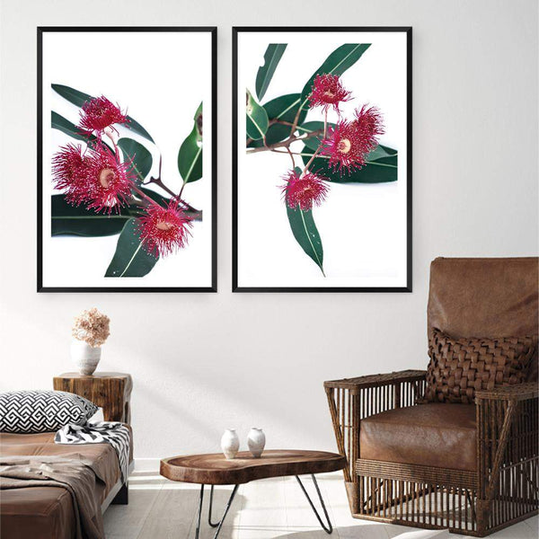 Set of 2 - Eucalyptus Flower  & No.2-The Paper Tree-Artwork,australian native,botanical,botanical art print,coastal,eucalyptus,eucalyptus leaves,Floral,flowers,gift,green,leaf,leaves,Muted Eucalyptus Art Print,native,native art print,native flowers,portrait,premium art print,red,red flower,wall art,Wall_Art,Wall_Art_Prints,white,wild flowers