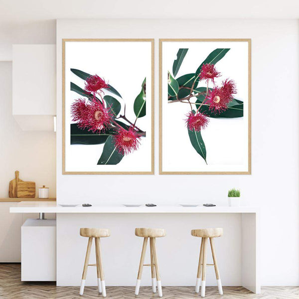 Set of 2 - Eucalyptus Flower  & No.2-The Paper Tree-Artwork,australian native,botanical,botanical art print,coastal,eucalyptus,eucalyptus leaves,Floral,flowers,gift,green,leaf,leaves,Muted Eucalyptus Art Print,native,native art print,native flowers,portrait,premium art print,red,red flower,wall art,Wall_Art,Wall_Art_Prints,white,wild flowers