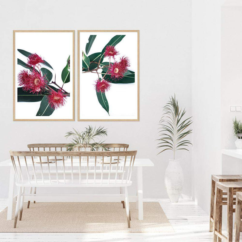 Set of 2 - Eucalyptus Flower  & No.2-The Paper Tree-Artwork,australian native,botanical,botanical art print,coastal,eucalyptus,eucalyptus leaves,Floral,flowers,gift,green,leaf,leaves,Muted Eucalyptus Art Print,native,native art print,native flowers,portrait,premium art print,red,red flower,wall art,Wall_Art,Wall_Art_Prints,white,wild flowers