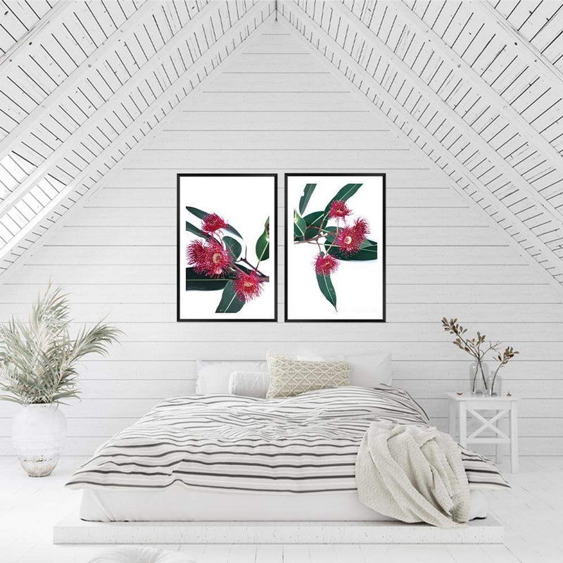 Set of 2 - Eucalyptus Flower  & No.2-The Paper Tree-Artwork,australian native,botanical,botanical art print,coastal,eucalyptus,eucalyptus leaves,Floral,flowers,gift,green,leaf,leaves,Muted Eucalyptus Art Print,native,native art print,native flowers,portrait,premium art print,red,red flower,wall art,Wall_Art,Wall_Art_Prints,white,wild flowers