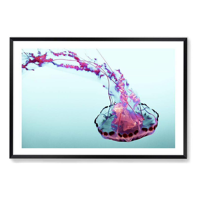 Pink Jellyfish-The Paper Tree-Animal,Colourful,Fish,hamptons,Jellyfish,landscape,Ocean,Pink,premium art print,Sea,Teal,vibrant,wall art,Wall_Art,Wall_Art_Prints