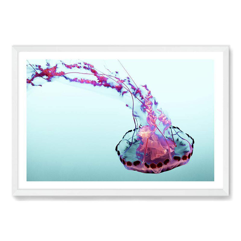 Pink Jellyfish-The Paper Tree-Animal,Colourful,Fish,hamptons,Jellyfish,landscape,Ocean,Pink,premium art print,Sea,Teal,vibrant,wall art,Wall_Art,Wall_Art_Prints