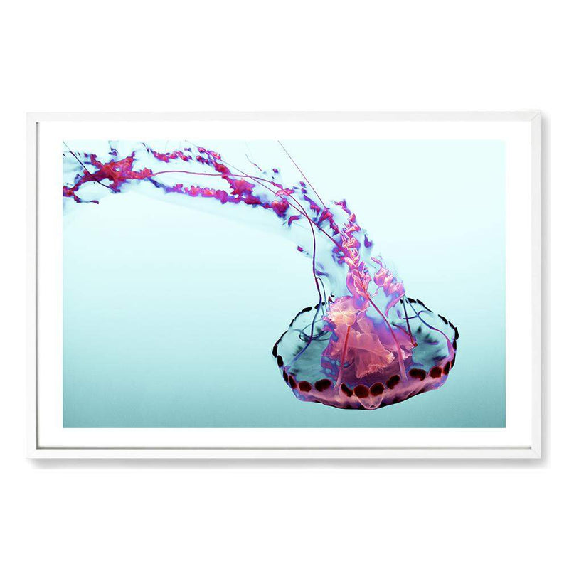 Pink Jellyfish-The Paper Tree-Animal,Colourful,Fish,hamptons,Jellyfish,landscape,Ocean,Pink,premium art print,Sea,Teal,vibrant,wall art,Wall_Art,Wall_Art_Prints