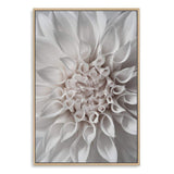 White Dahlia II-The Paper Tree-boho,DAHLIA,dahlia flower,feminine,Floral,flower,flowers,hamptons,neutral,portrait,premium art print,wall art,Wall_Art,Wall_Art_Prints,white