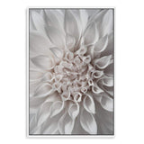 White Dahlia II-The Paper Tree-boho,DAHLIA,dahlia flower,feminine,Floral,flower,flowers,hamptons,neutral,portrait,premium art print,wall art,Wall_Art,Wall_Art_Prints,white