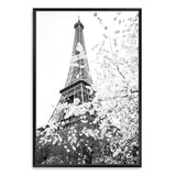 Paris in Spring II-The Paper Tree-architecture,black & white,BLACK AND WHITE,cherry blossom,cherry tree,city,eiffel tower,floral,flower,france,french,monochrome,paris,portrait,premium art print,romantic,spring,view,wall art,Wall_Art,Wall_Art_Prints