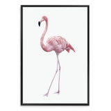 Pink Flamingo-The Paper Tree-africa,AFRICAN ANIMAL,African animals,america,animal,Artwork,bird,boho,flamingo,palm springs,pink,portrait,premium art print,tropical,wall art,Wall_Art,Wall_Art_Prints