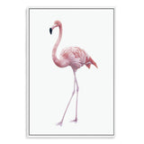 Pink Flamingo-The Paper Tree-africa,AFRICAN ANIMAL,African animals,america,animal,Artwork,bird,boho,flamingo,palm springs,pink,portrait,premium art print,tropical,wall art,Wall_Art,Wall_Art_Prints