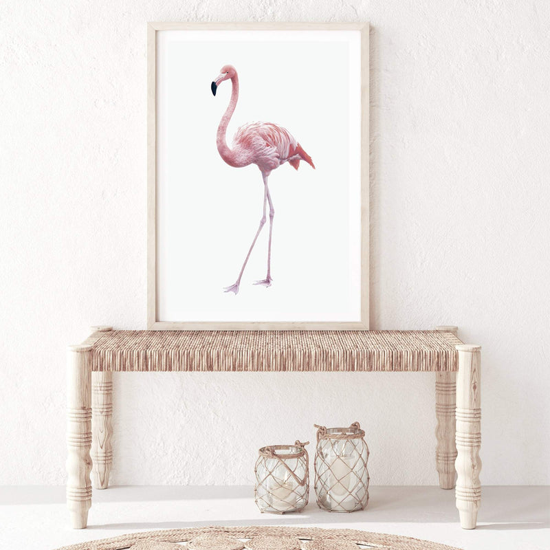 Pink Flamingo-The Paper Tree-africa,AFRICAN ANIMAL,African animals,america,animal,Artwork,bird,boho,flamingo,palm springs,pink,portrait,premium art print,tropical,wall art,Wall_Art,Wall_Art_Prints