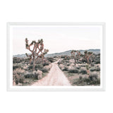 Joshua Tree-The Paper Tree-bohemian,boho,botanical,california,californian desert,desert,desert palm,desert path,desert road,desert tree,dirt road,joshua tree,landscape,muted tone,nature,neutral,premium art print,sand,wall art,Wall_Art,Wall_Art_Prints