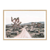 Joshua Tree-The Paper Tree-bohemian,boho,botanical,california,californian desert,desert,desert palm,desert path,desert road,desert tree,dirt road,joshua tree,landscape,muted tone,nature,neutral,premium art print,sand,wall art,Wall_Art,Wall_Art_Prints