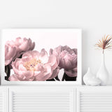 Peonies-The Paper Tree-dusty pink,floral,flower,france,french,landscape,muted tone,paris,pastel pink,peonies,peony,pink,premium art print,romantic,wall art,Wall_Art,Wall_Art_Prints