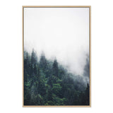 Pine Forest Trees-The Paper Tree-america,australia,botanical,enchanting,forest,green,mist,mountains,nature,pine forest,pine trees,portrait,premium art print,tree,trees,wall art,Wall_Art,Wall_Art_Prints