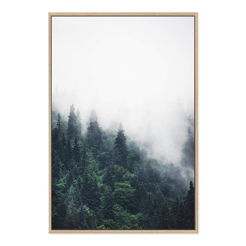 Pine Forest Trees-The Paper Tree-america,australia,botanical,enchanting,forest,green,mist,mountains,nature,pine forest,pine trees,portrait,premium art print,tree,trees,wall art,Wall_Art,Wall_Art_Prints