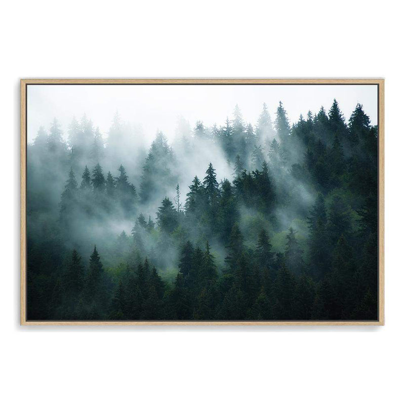 Misty Pine Forest Trees-The Paper Tree-america,australia,botanical,enchanting,forest,green,landscape,mist,mountains,nature,pine forest,pine trees,premium art print,tree,trees,wall art,Wall_Art,Wall_Art_Prints