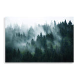 Misty Pine Forest Trees-The Paper Tree-america,australia,botanical,enchanting,forest,green,landscape,mist,mountains,nature,pine forest,pine trees,premium art print,tree,trees,wall art,Wall_Art,Wall_Art_Prints