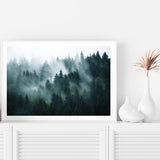 Misty Pine Forest Trees-The Paper Tree-america,australia,botanical,enchanting,forest,green,landscape,mist,mountains,nature,pine forest,pine trees,premium art print,tree,trees,wall art,Wall_Art,Wall_Art_Prints