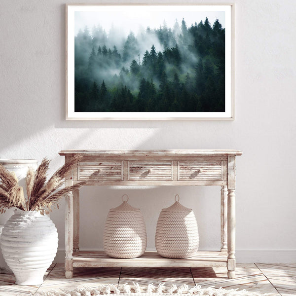 Misty Pine Forest Trees-The Paper Tree-america,australia,botanical,enchanting,forest,green,landscape,mist,mountains,nature,pine forest,pine trees,premium art print,tree,trees,wall art,Wall_Art,Wall_Art_Prints