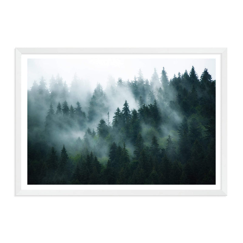 Misty Pine Forest Trees-The Paper Tree-america,australia,botanical,enchanting,forest,green,landscape,mist,mountains,nature,pine forest,pine trees,premium art print,tree,trees,wall art,Wall_Art,Wall_Art_Prints