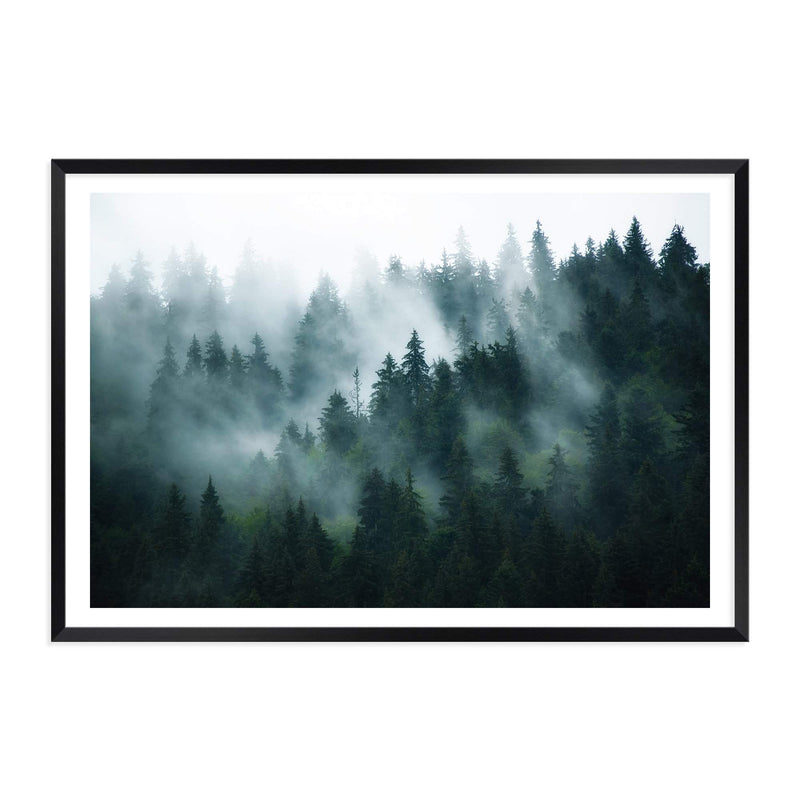 Misty Pine Forest Trees-The Paper Tree-america,australia,botanical,enchanting,forest,green,landscape,mist,mountains,nature,pine forest,pine trees,premium art print,tree,trees,wall art,Wall_Art,Wall_Art_Prints