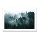 Misty Pine Forest Trees-The Paper Tree-america,australia,botanical,enchanting,forest,green,landscape,mist,mountains,nature,pine forest,pine trees,premium art print,tree,trees,wall art,Wall_Art,Wall_Art_Prints