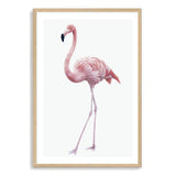 Pink Flamingo-The Paper Tree-africa,AFRICAN ANIMAL,African animals,america,animal,Artwork,bird,boho,flamingo,palm springs,pink,portrait,premium art print,tropical,wall art,Wall_Art,Wall_Art_Prints